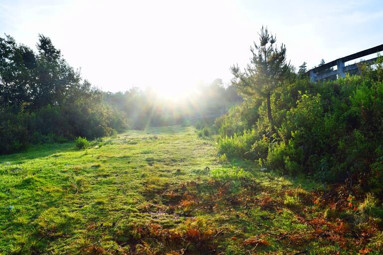 Comment apaiser et faire dérougir un coup de soleil efficacement ?