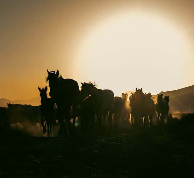 découvrez best western, votre choix idéal pour un hébergement confortable et abordable. profitez d'un service de qualité, d'emplacements privilégiés et de commodités modernes pour un séjour inoubliable, que ce soit pour des vacances ou des voyages d'affaires.